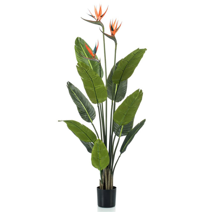 The Seasonal Aisle 120cm Artificial Strelitzia Plant in Pot Wayfair.co.uk